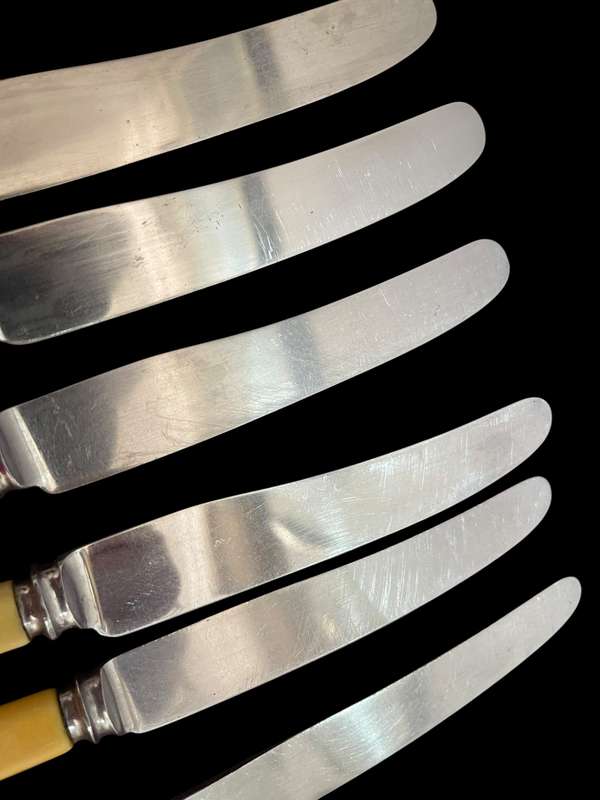 Knives bone handled(NR15)