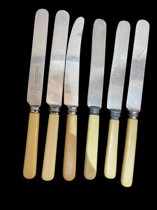 Knives bone handled(NR27)
