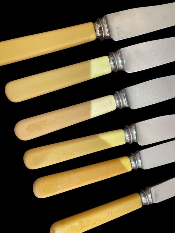 Knives bone handled(NR15)