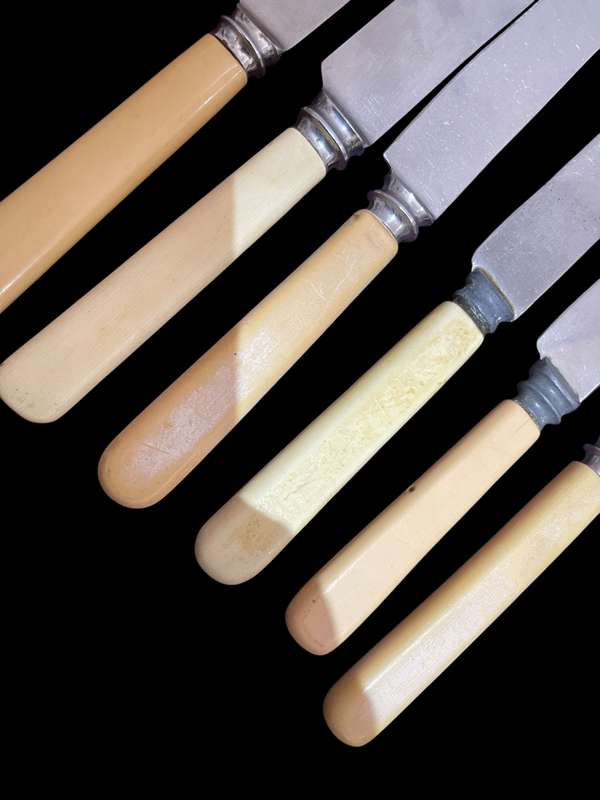 Knives bone handled(NR27)