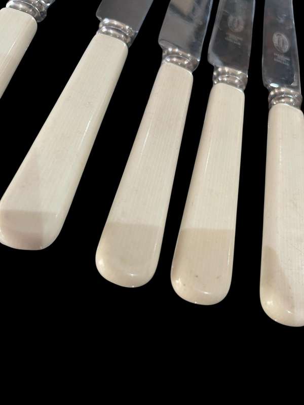 Knives bone handled(NR8)