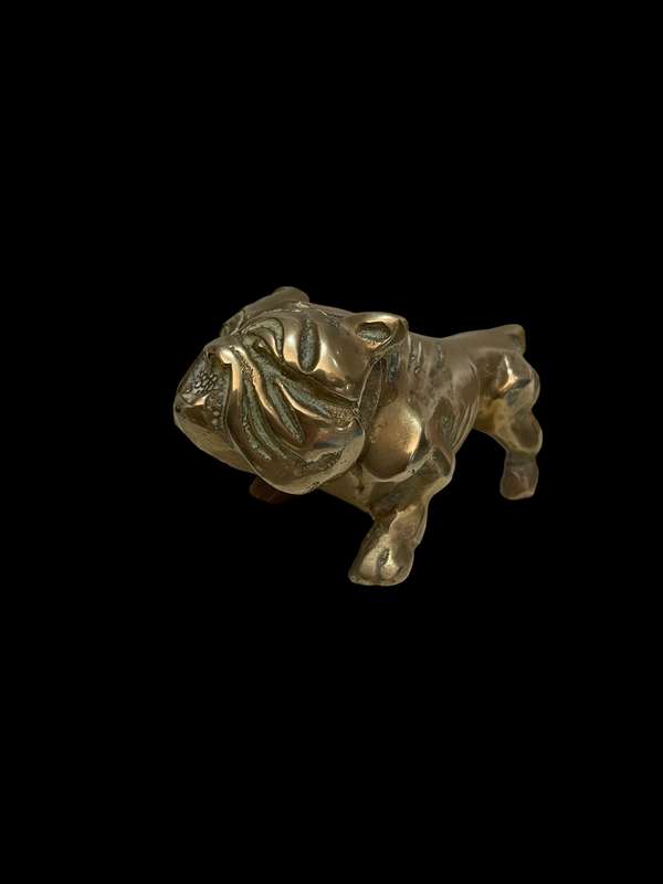 Ornament bulldog brass