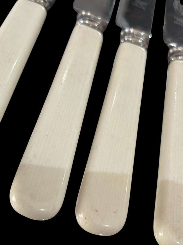 Knives bone handled(NR8)