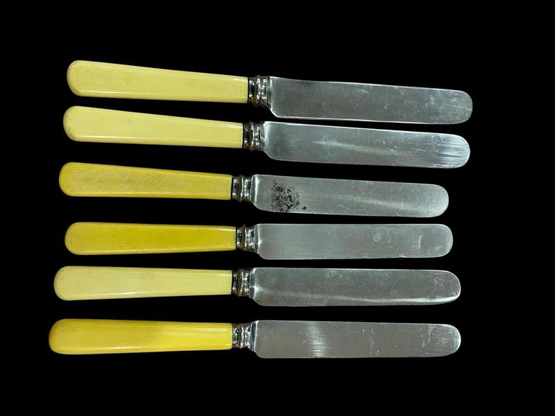 Knives bone handled(NR34)