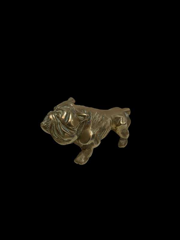 Ornament bulldog brass