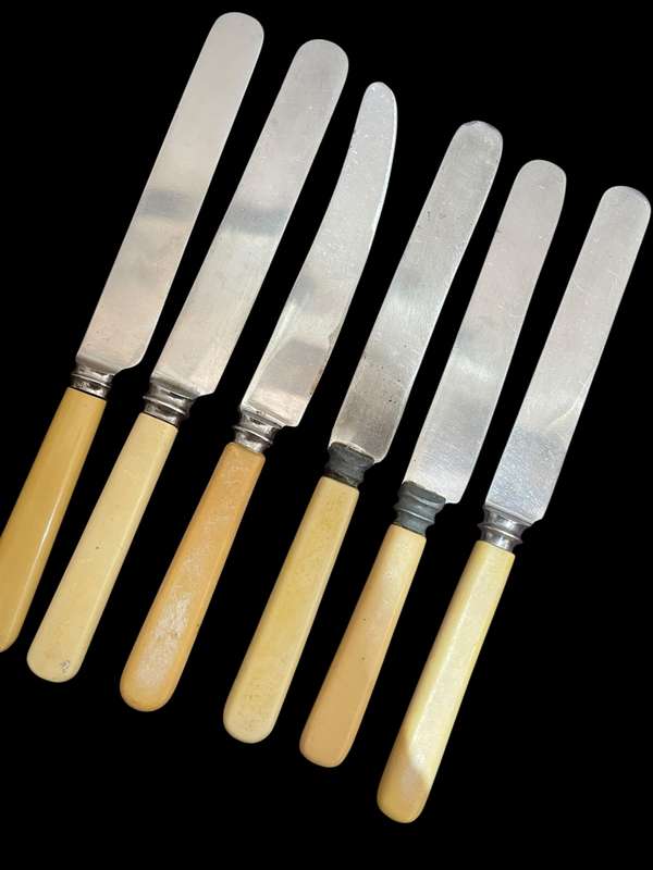 Knives bone handled(NR27)