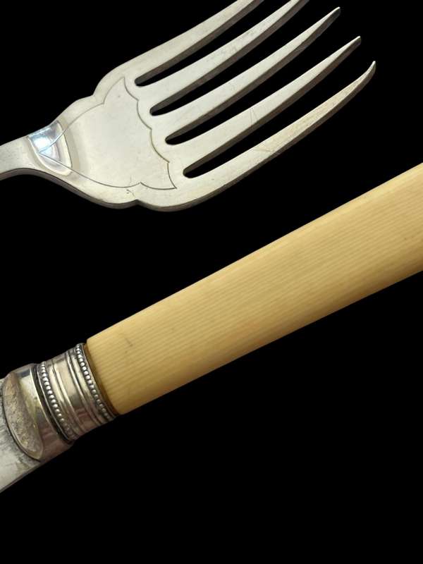 Cutlery Serving set bone handled (NR2)