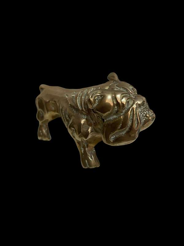 Ornament bulldog brass