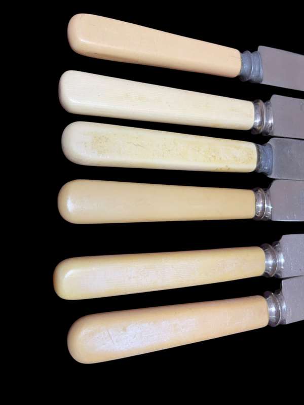 Knives bone handled(NR17)