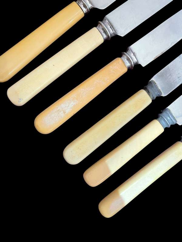 Knives bone handled(NR27)