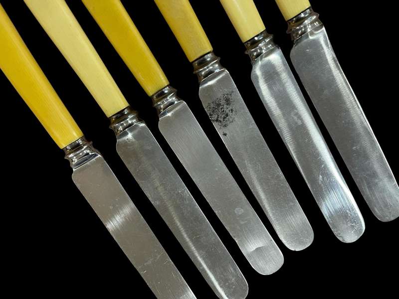 Knives bone handled(NR34)
