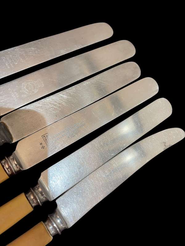 Knives bone handled(NR17)