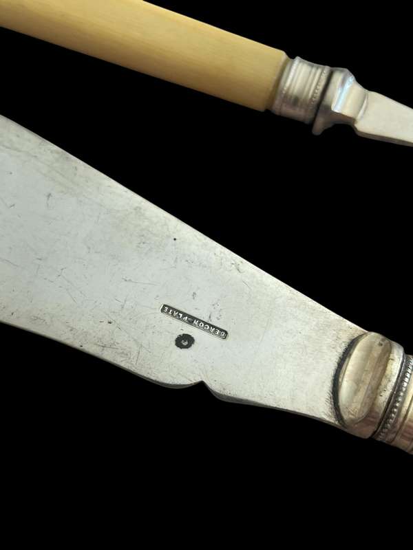 Cutlery Serving set bone handled (NR2)