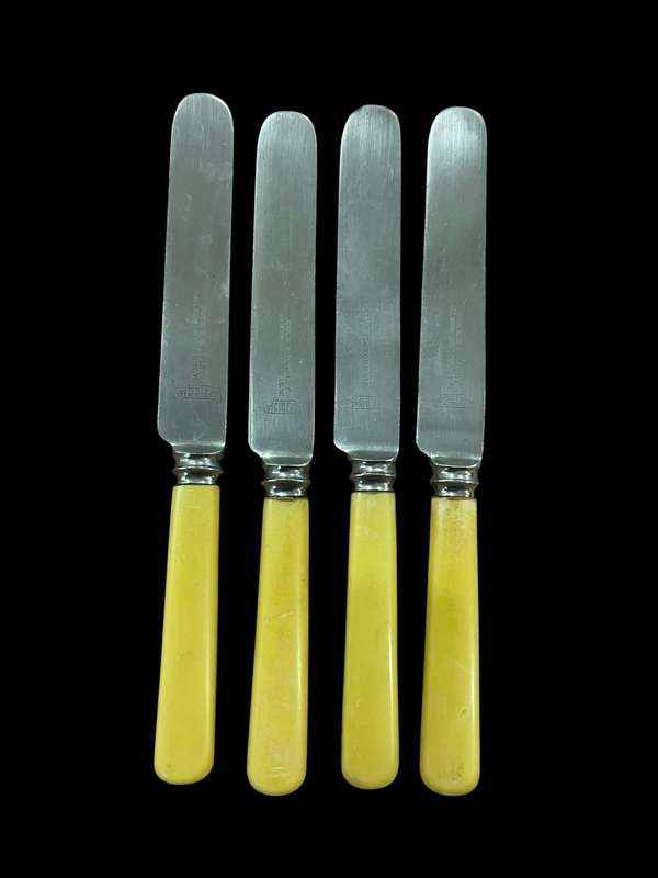 Knives bone handled(NR33)