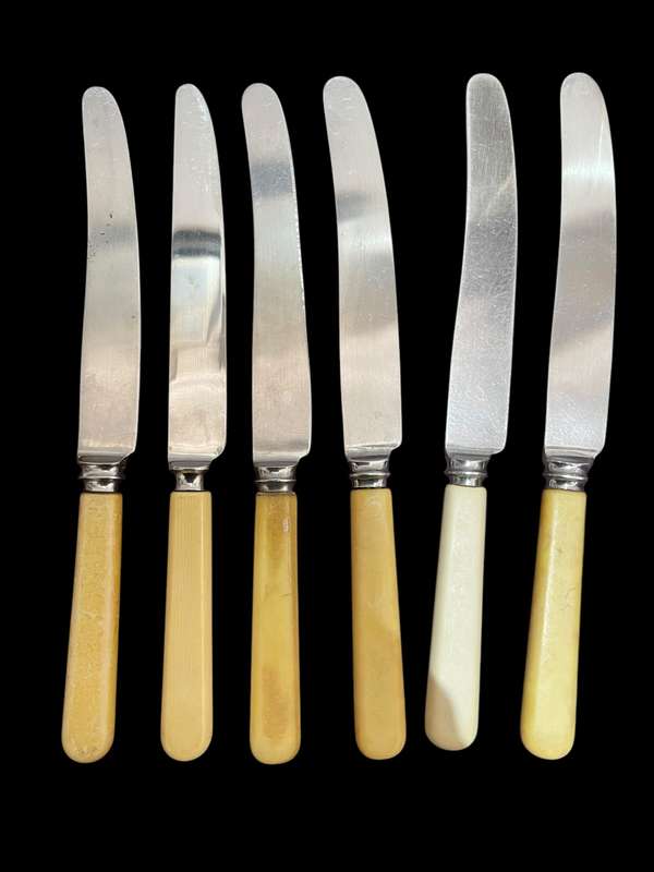 Knives bone handled(NR24)