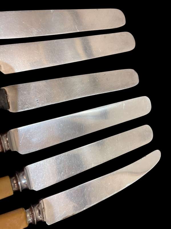 Knives bone handled(NR17)