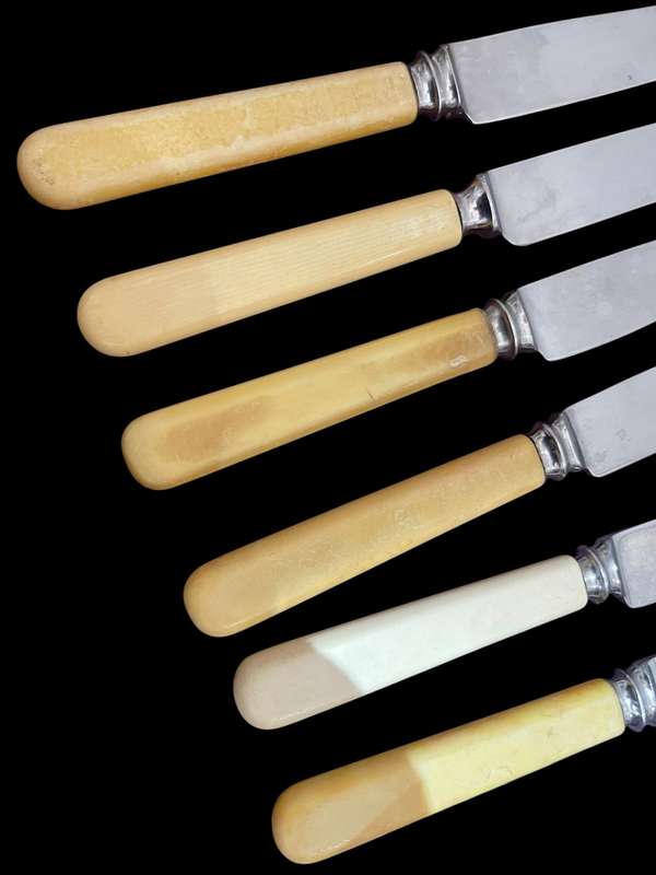 Knives bone handled(NR24)