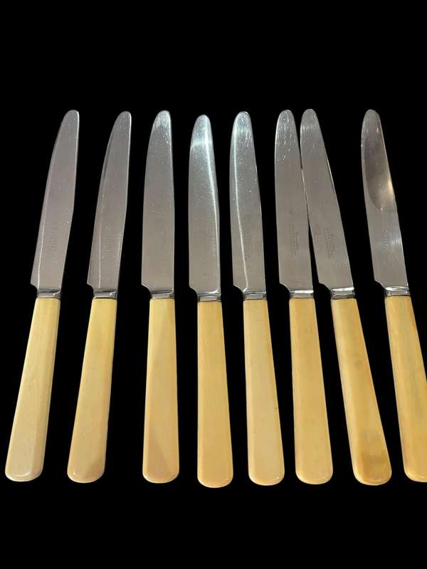 Knives bone handled(NR9)
