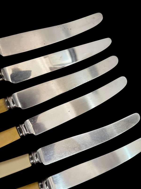 Knives bone handled(NR24)
