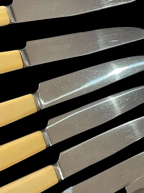 Knives bone handled(NR9)