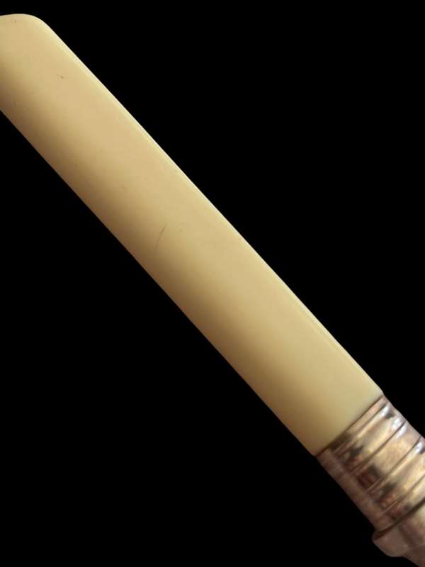 Cutlery set servers bone handled(NR3)