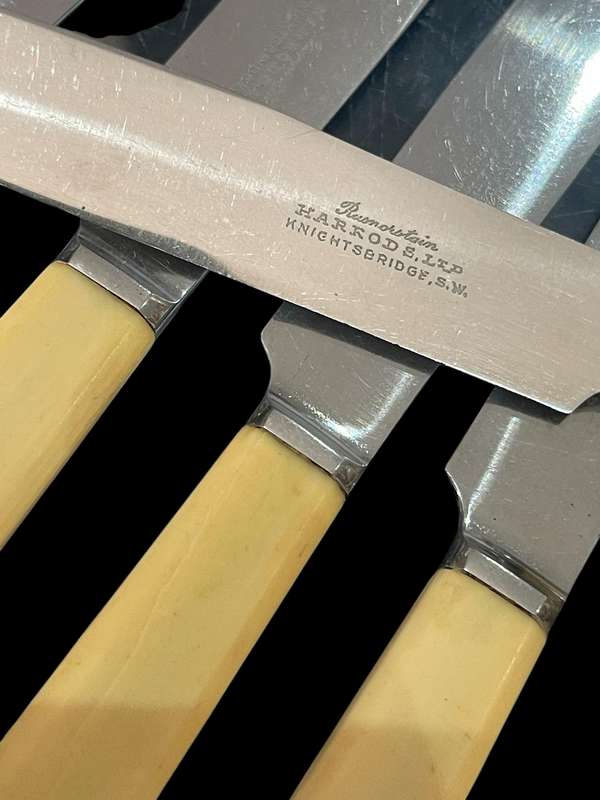 Knives bone handled(NR9)