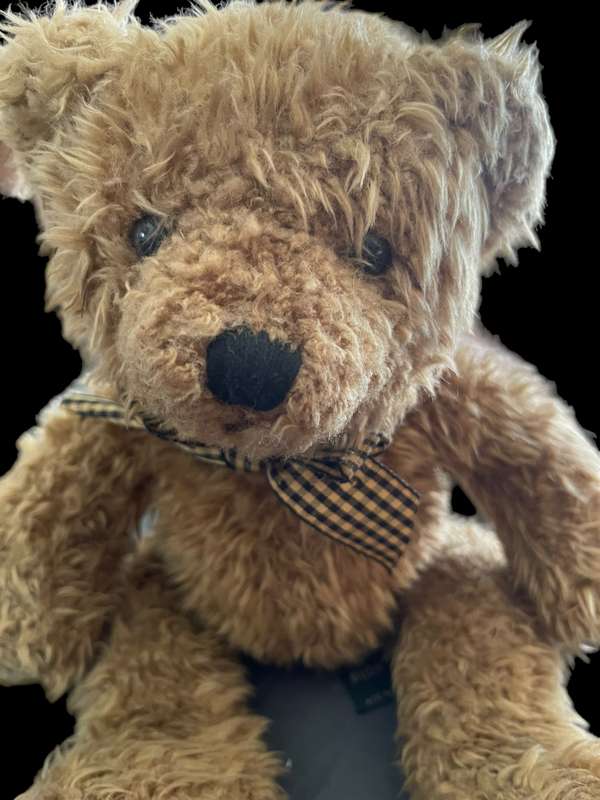 Teddy Bear Russ Wembly(Nr7)