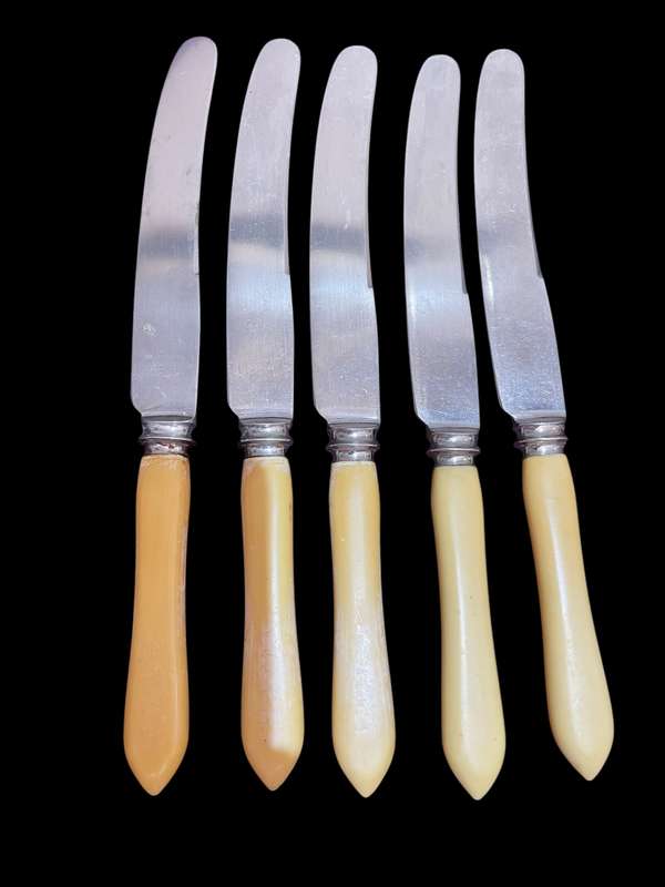 Knives bone handled(NR18)