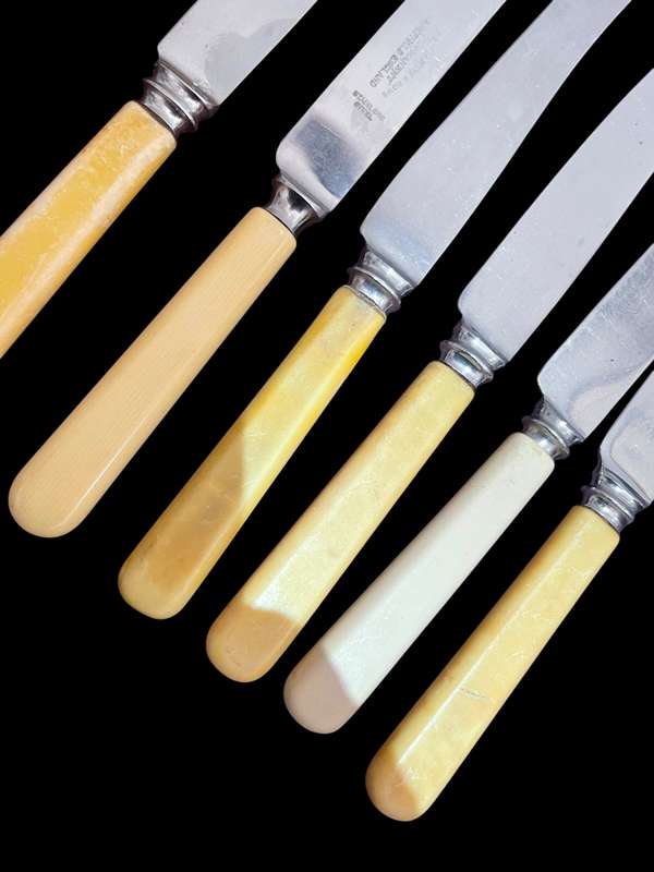 Knives bone handled(NR24)