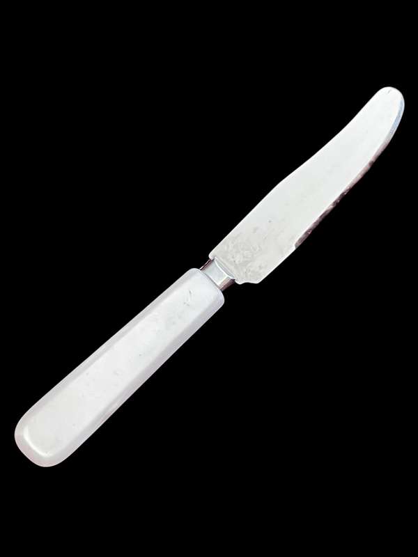 Butter/pate knife faux mother pearl(NR12)