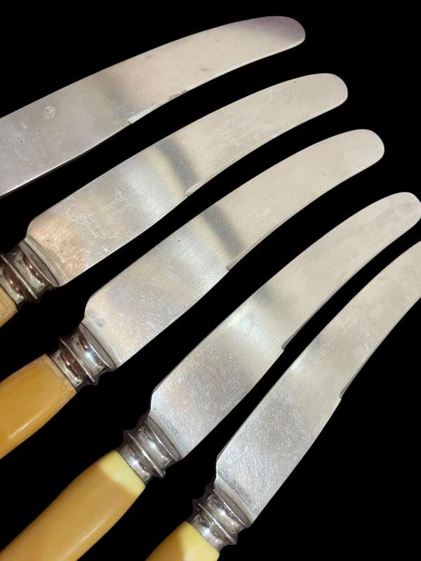 Knives bone handled(NR18)
