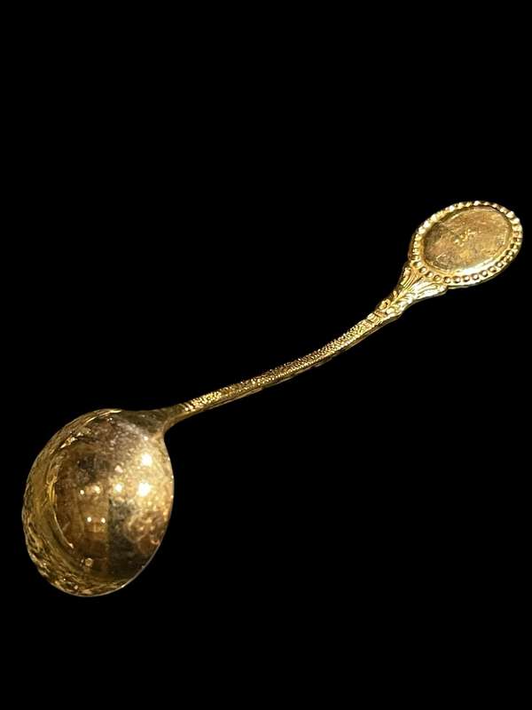 Jam/sugar spoon gold plated(NR21)