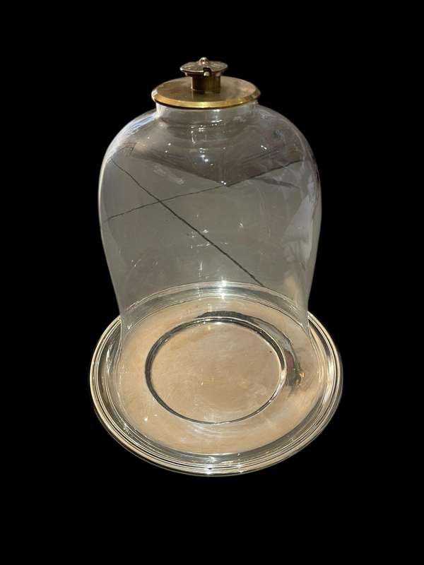 Cake cloche base