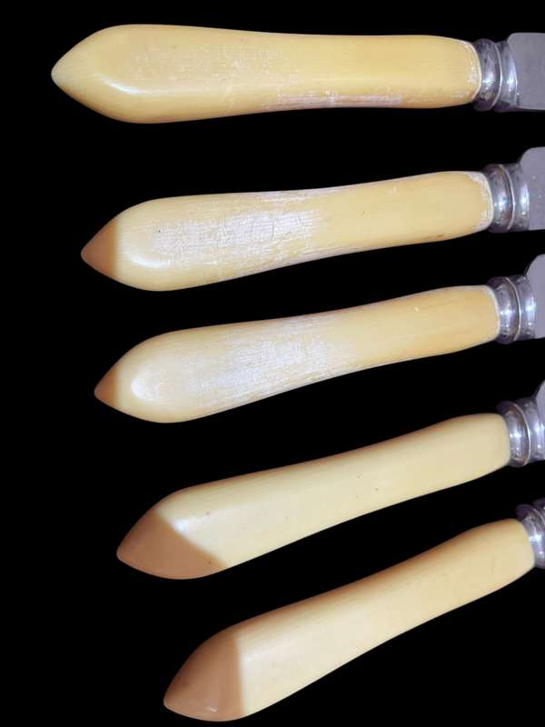 Knives bone handled(NR18)