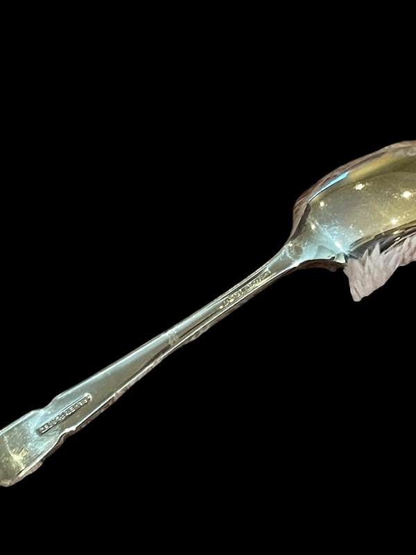 Jam/sugar spoon(NR40)
