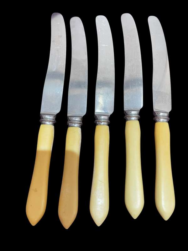 Knives bone handled(NR18)