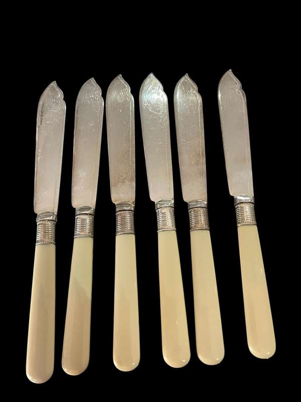Knives bone handled(NR10)