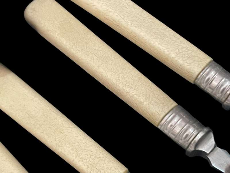 Cutlery set bone handled