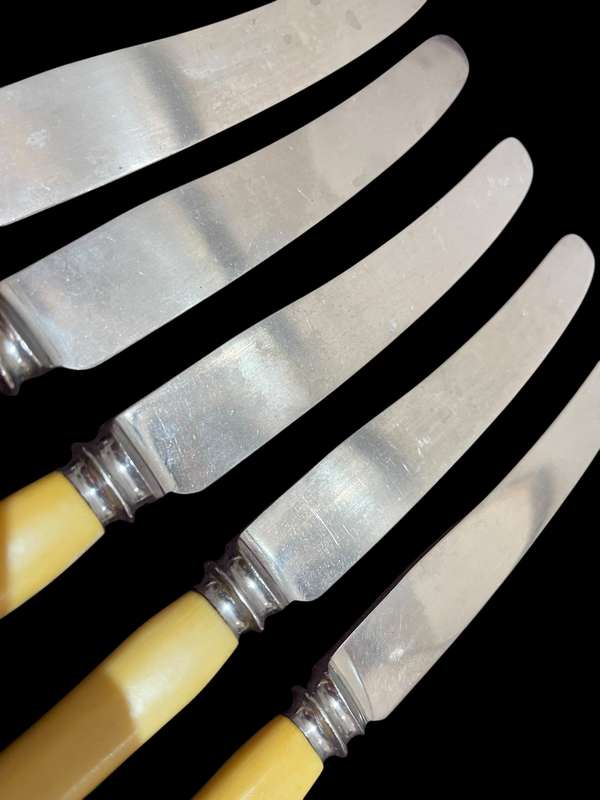 Knives bone handled(NR18)