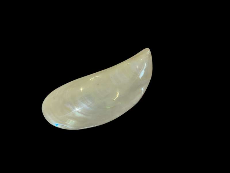Ornament Shell