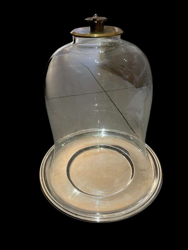 Cake cloche base
