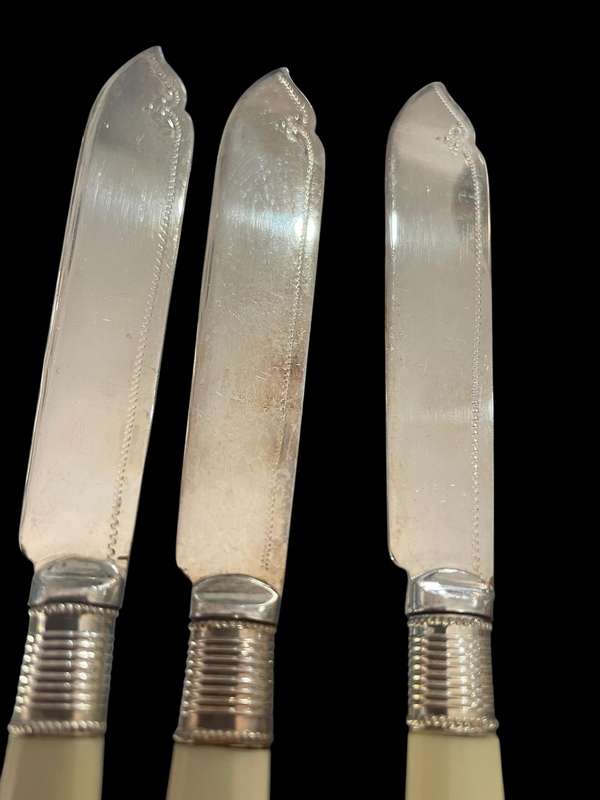 Knives bone handled(NR10)