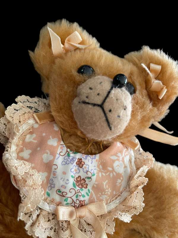 Teddy bear beanbag style(Nr11)