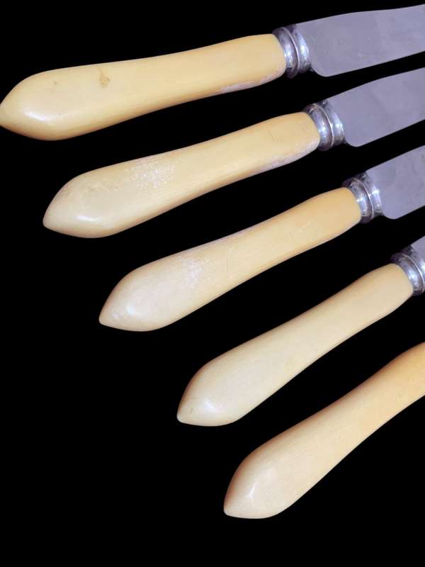 Knives bone handled(NR18)