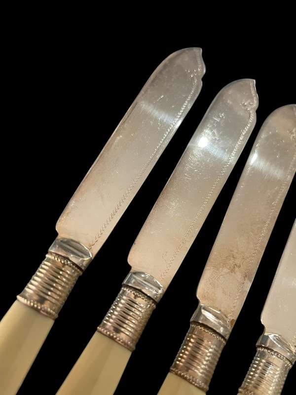 Knives bone handled(NR10)