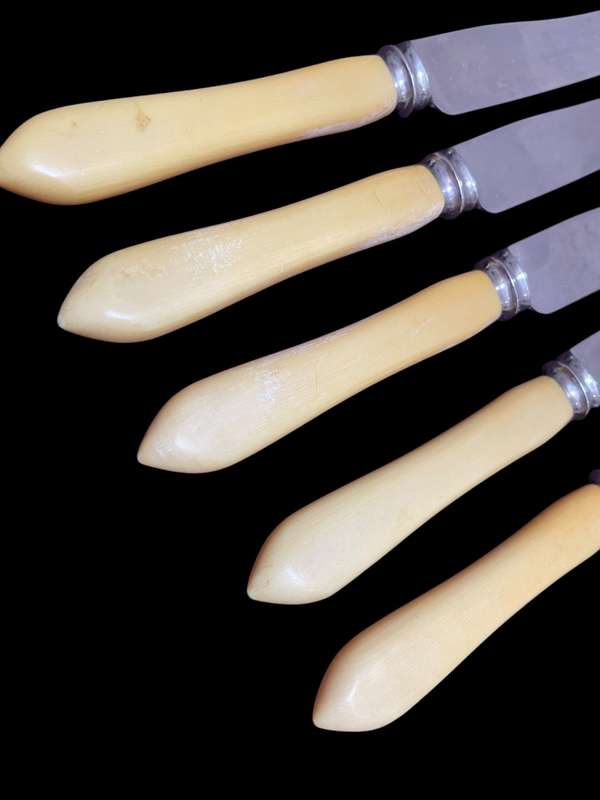 Knives bone handled(NR18)