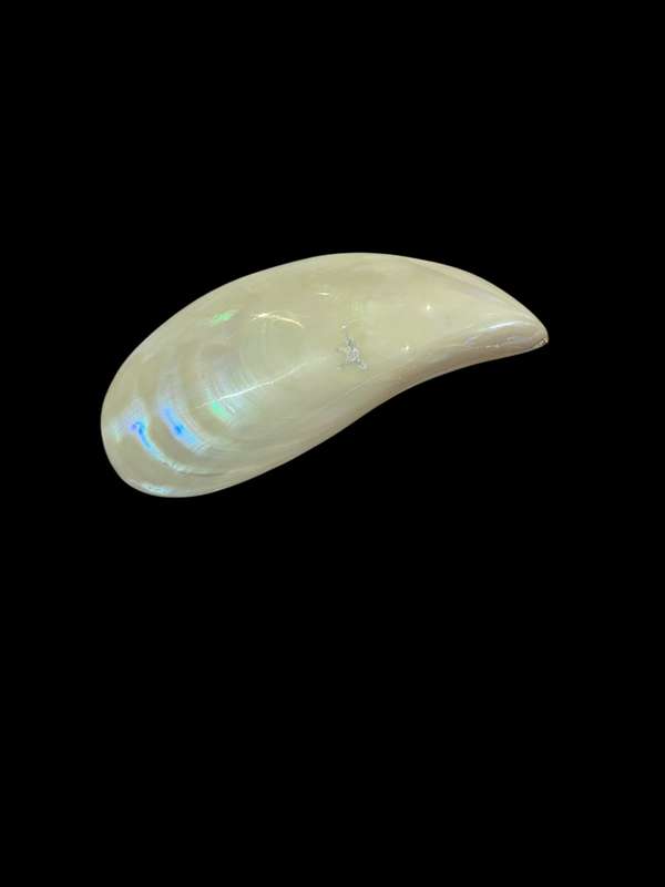 Ornament Shell