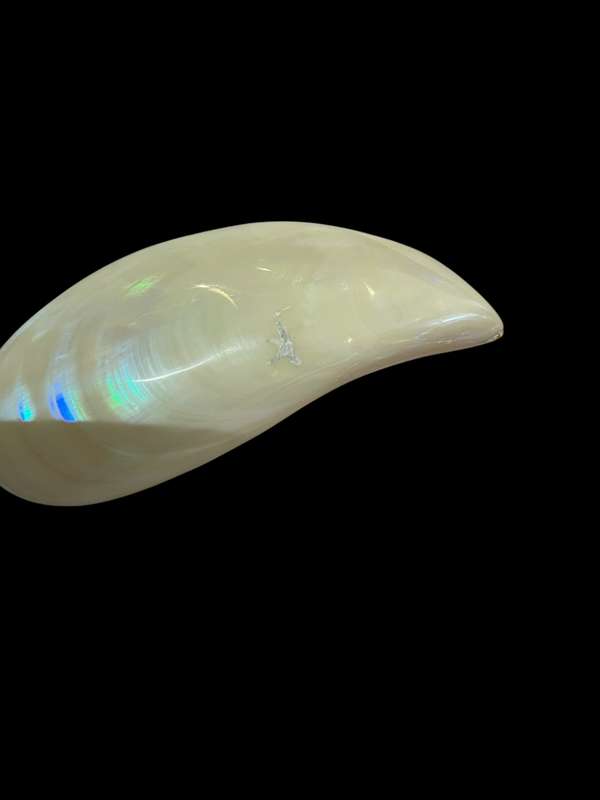Ornament Shell
