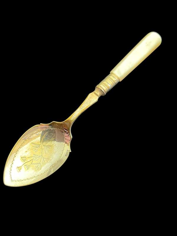 Jam/sugar spoon(NR2)