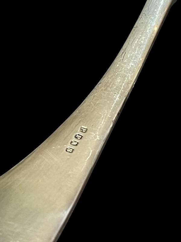 Soup ladle large